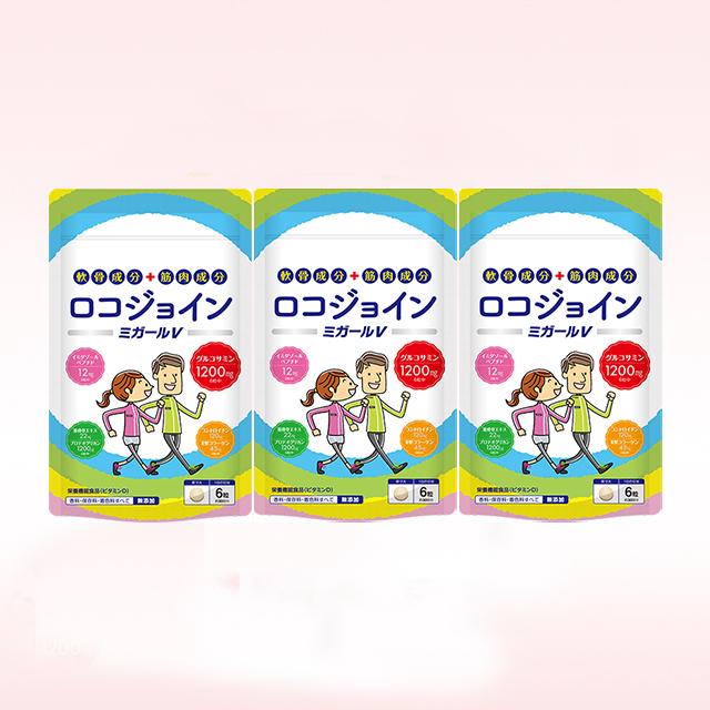 ロコジョイン・ミガールV（3ヶ月コース）の商品画像